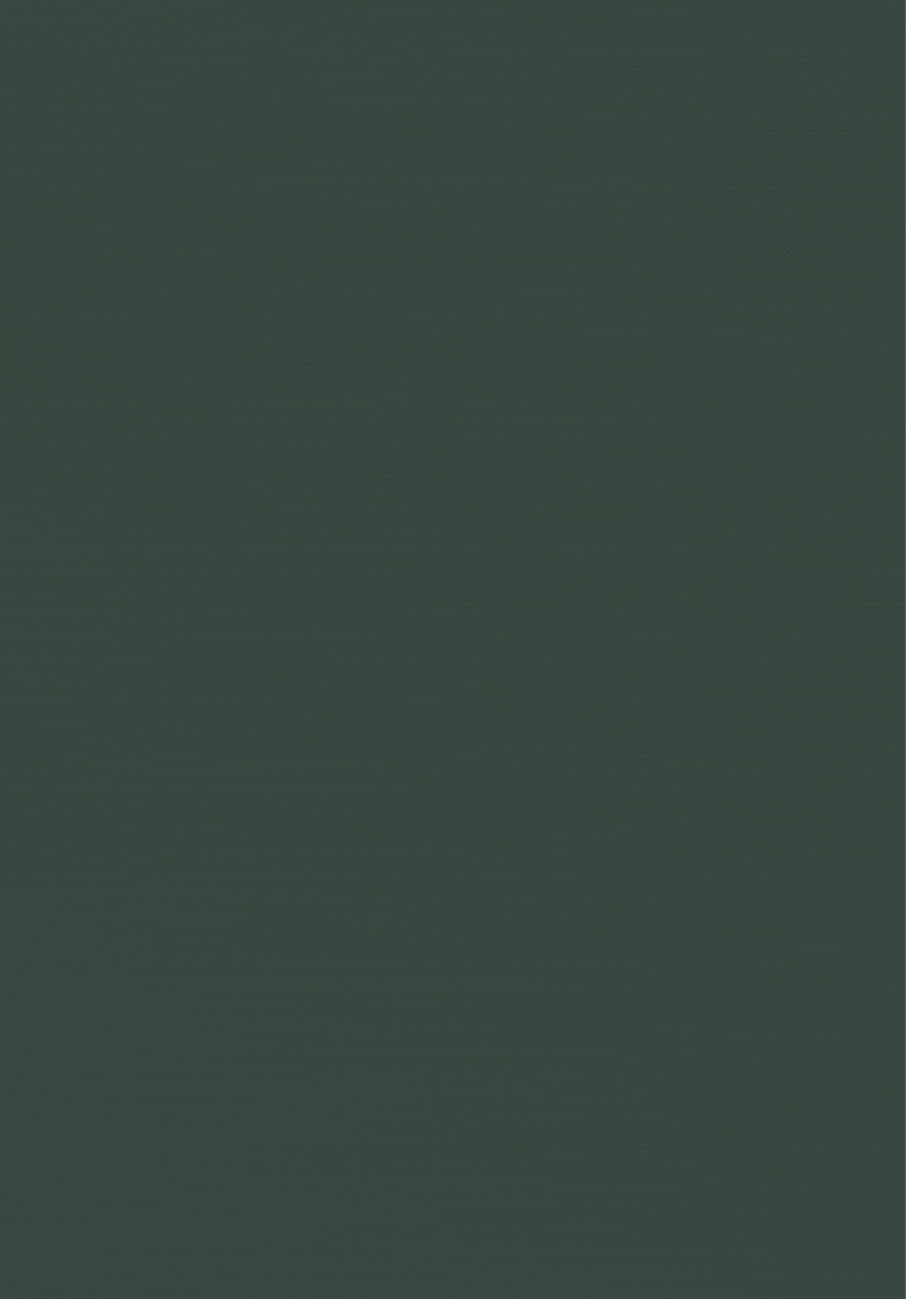 Le dee della bellezza - Terza di copertina